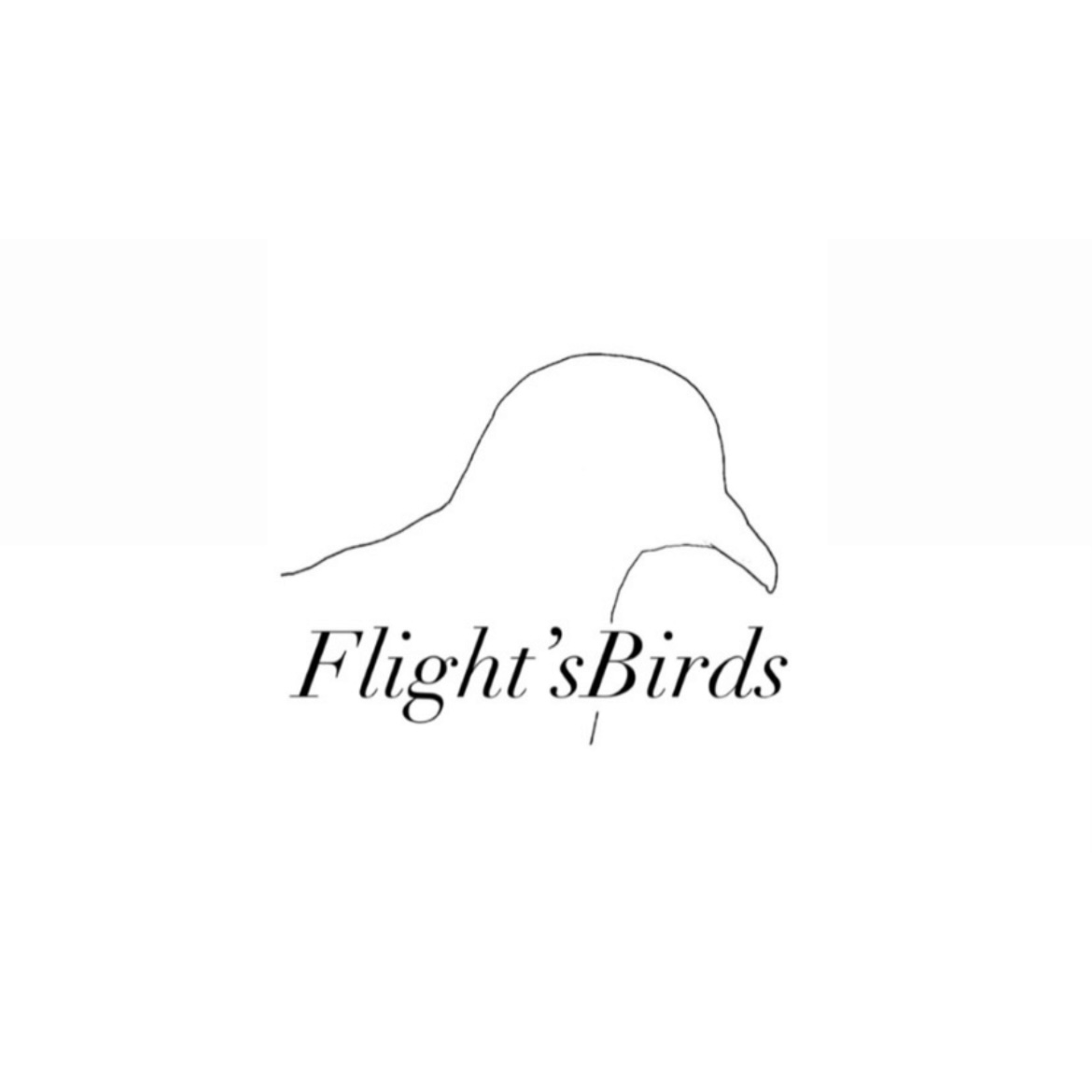 Flight’sBirds